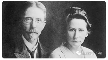 旋乐吧spin8(中国区)手机版官方网站