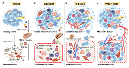 旋乐吧spin8(中国区)手机版官方网站