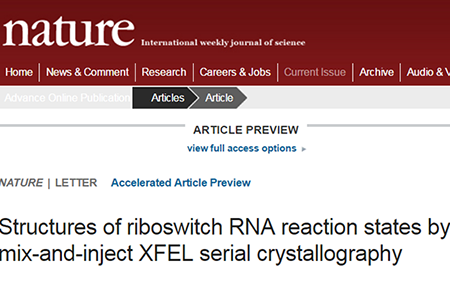 旋乐吧spin8(中国区)手机版官方网站