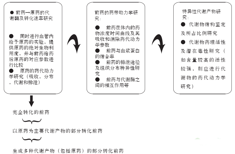 旋乐吧spin8(中国区)手机版官方网站