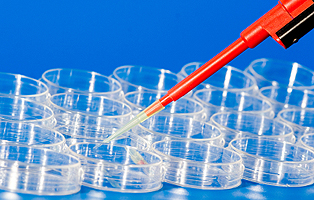 旋乐吧spin8(中国区)手机版官方网站