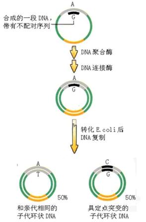旋乐吧spin8(中国区)手机版官方网站