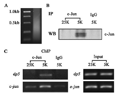 旋乐吧spin8(中国区)手机版官方网站
