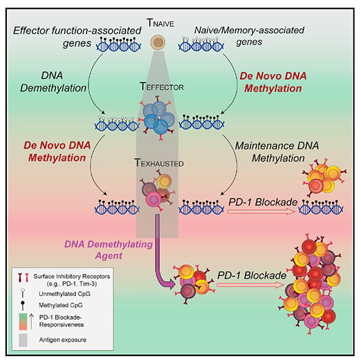 旋乐吧spin8(中国区)手机版官方网站