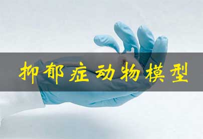 焦虑和抑郁动物模子