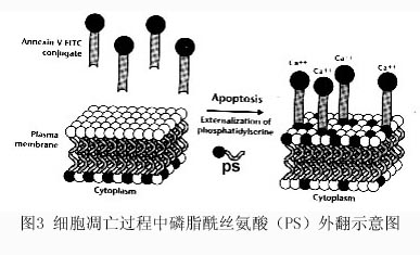 旋乐吧spin8(中国区)手机版官方网站