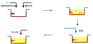旋乐吧spin8(中国区)手机版官方网站