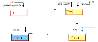 旋乐吧spin8(中国区)手机版官方网站