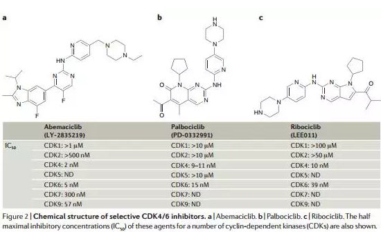 旋乐吧spin8(中国区)手机版官方网站