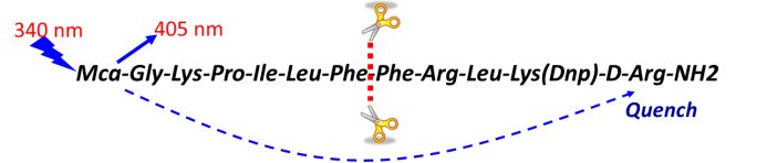 旋乐吧spin8(中国区)手机版官方网站