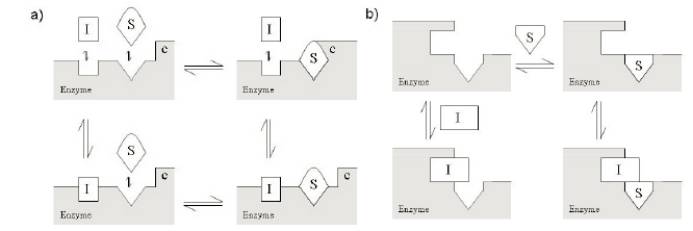 旋乐吧spin8(中国区)手机版官方网站