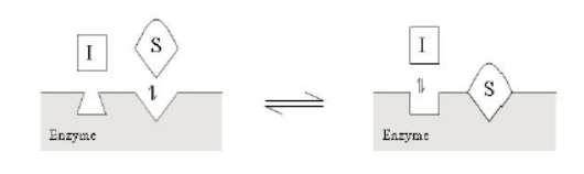 旋乐吧spin8(中国区)手机版官方网站