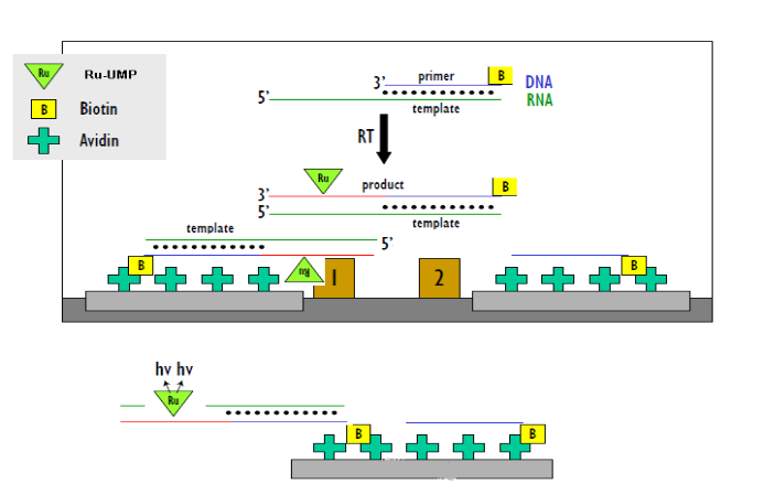 旋乐吧spin8(中国区)手机版官方网站