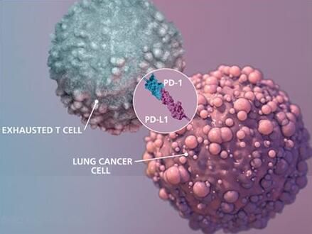 旋乐吧spin8(中国区)手机版官方网站
