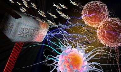 旋乐吧spin8(中国区)手机版官方网站