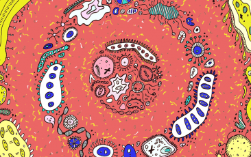 旋乐吧spin8(中国区)手机版官方网站