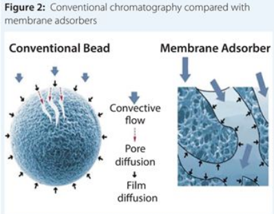 旋乐吧spin8(中国区)手机版官方网站