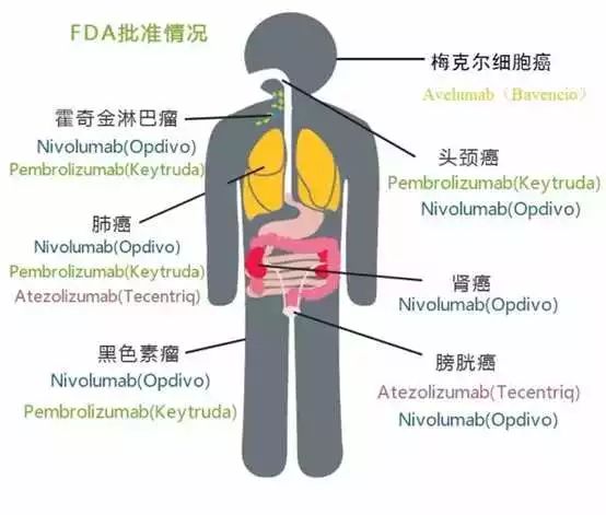 旋乐吧spin8(中国区)手机版官方网站