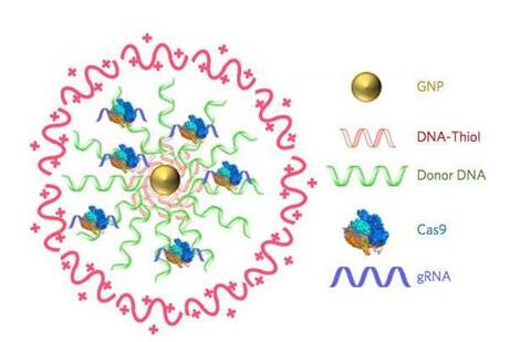 旋乐吧spin8(中国区)手机版官方网站