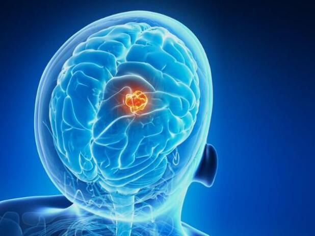 旋乐吧spin8(中国区)手机版官方网站