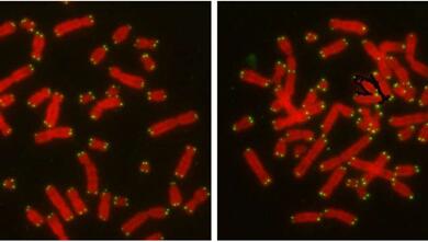 旋乐吧spin8(中国区)手机版官方网站