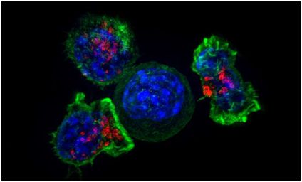 旋乐吧spin8(中国区)手机版官方网站