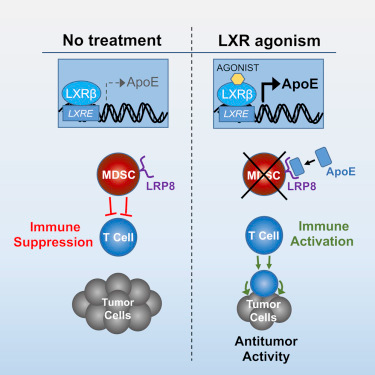 旋乐吧spin8(中国区)手机版官方网站