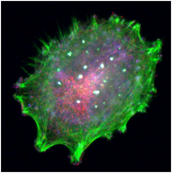 旋乐吧spin8(中国区)手机版官方网站