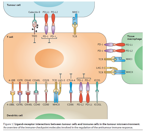旋乐吧spin8(中国区)手机版官方网站