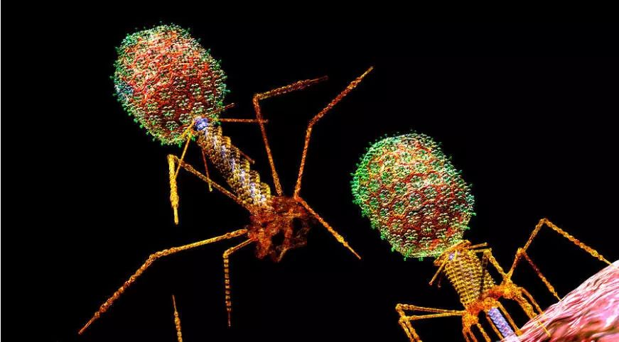 旋乐吧spin8(中国区)手机版官方网站