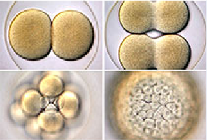 旋乐吧spin8(中国区)手机版官方网站