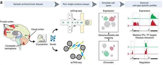 旋乐吧spin8(中国区)手机版官方网站