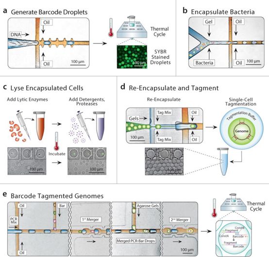 旋乐吧spin8(中国区)手机版官方网站