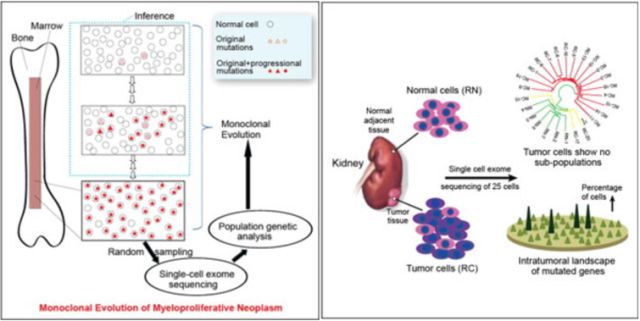 旋乐吧spin8(中国区)手机版官方网站