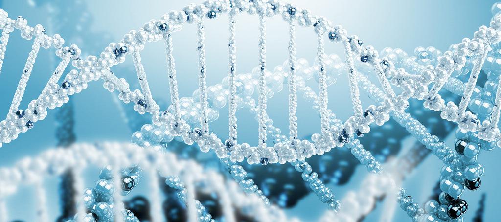 浅谈旋乐吧spin8抗体药物PK剖析要领学设计的思量要点