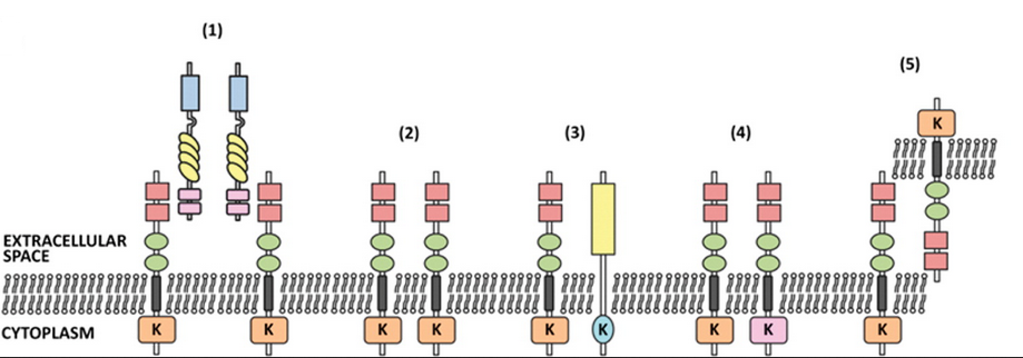 旋乐吧spin8(中国区)手机版官方网站