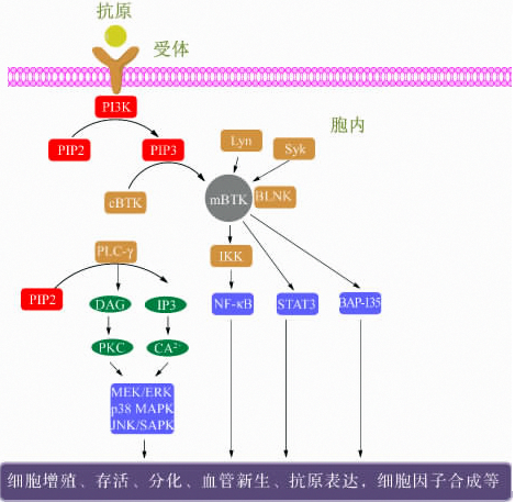 旋乐吧spin8(中国区)手机版官方网站