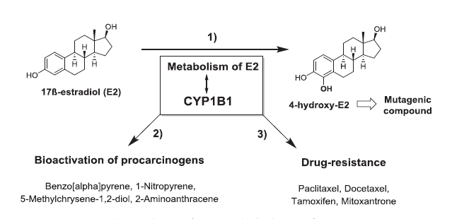旋乐吧spin8(中国区)手机版官方网站