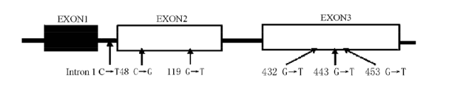 旋乐吧spin8(中国区)手机版官方网站