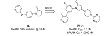 旋乐吧spin8(中国区)手机版官方网站