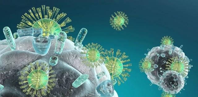 旋乐吧spin8(中国区)手机版官方网站