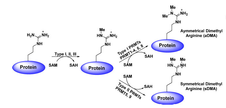旋乐吧spin8(中国区)手机版官方网站