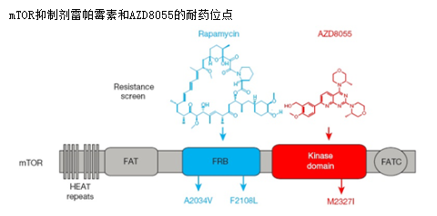 旋乐吧spin8(中国区)手机版官方网站