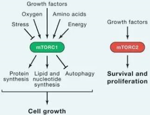 旋乐吧spin8(中国区)手机版官方网站