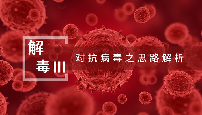 【解“毒”III】对抗病毒之思绪剖析