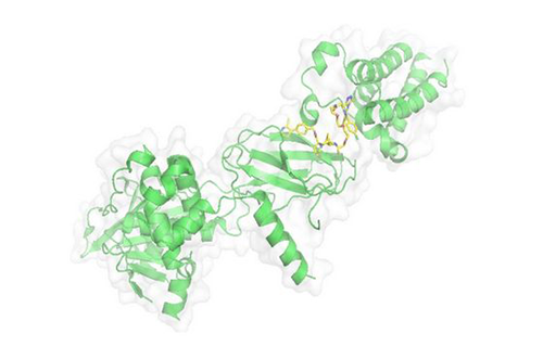 PROTAC手艺，，，，，马兴泉