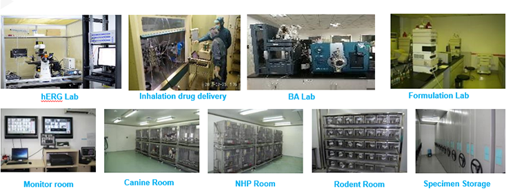 旋乐吧spin8毒理研究部装备