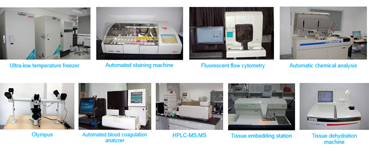 旋乐吧spin8毒理研究部装备