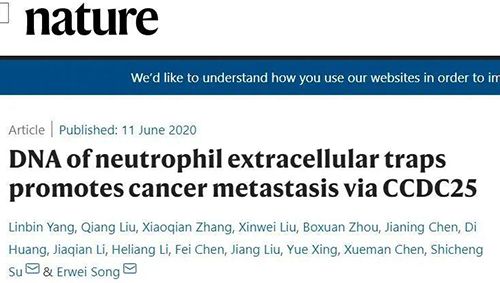 06月11日Nature杂志中山大学孙逸仙纪念医院的科学家团队揭晓的文章