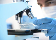 旋乐吧spin8代谢产品判断(MetlD)效劳平台